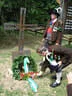 dsc00850r