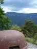 dsc00884r