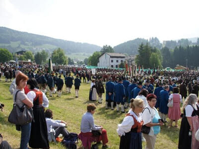 Alpenregionsfest 03.06.2012  Bild 81