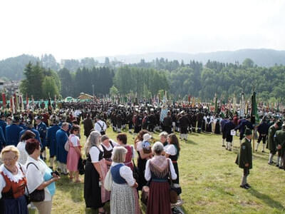 Alpenregionsfest 03.06.2012  Bild 74