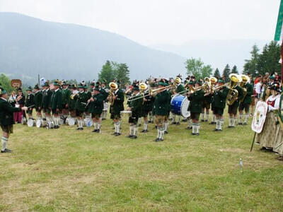 Alpenregionsfest 03.06.2012  Bild 32