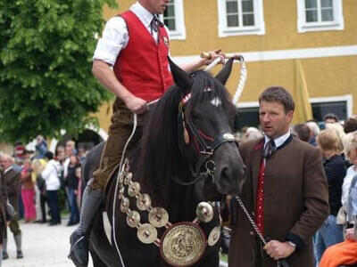 Baons-Fest Kitzbüheler Anzeiger Bild 45